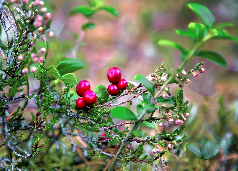 Photograph by Валентин Кузьмин