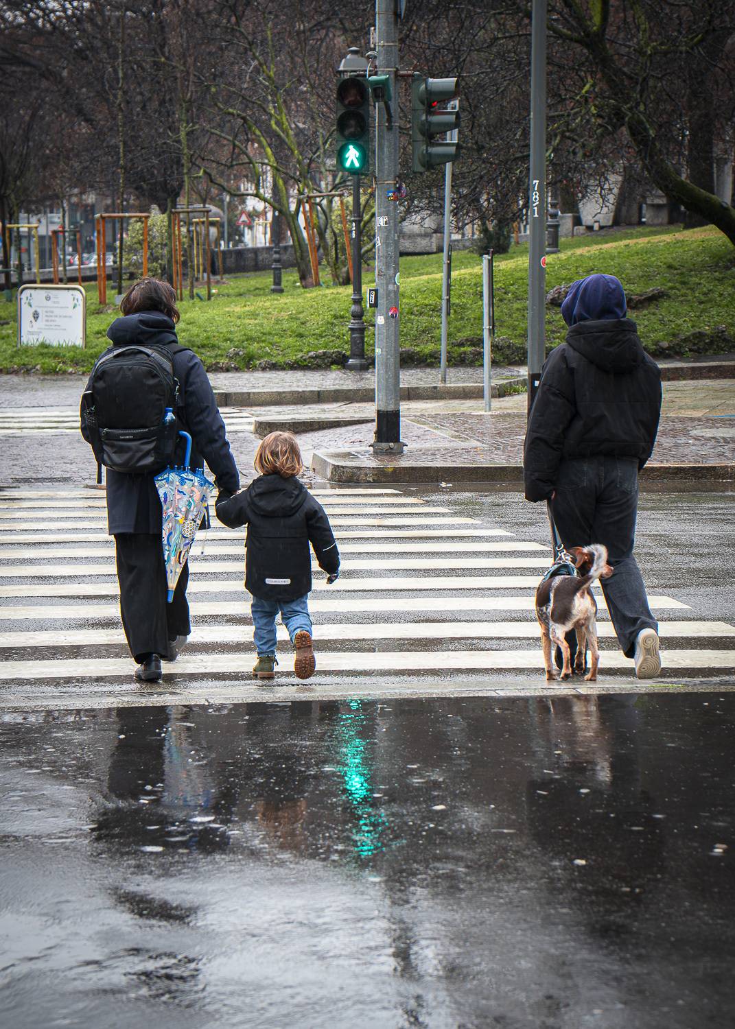 Photo #12757539