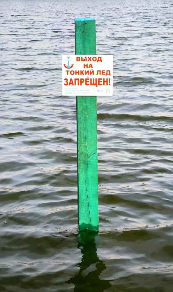 Photograph by Александр Житник