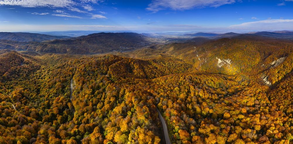 Photograph by Игорь Щербаков