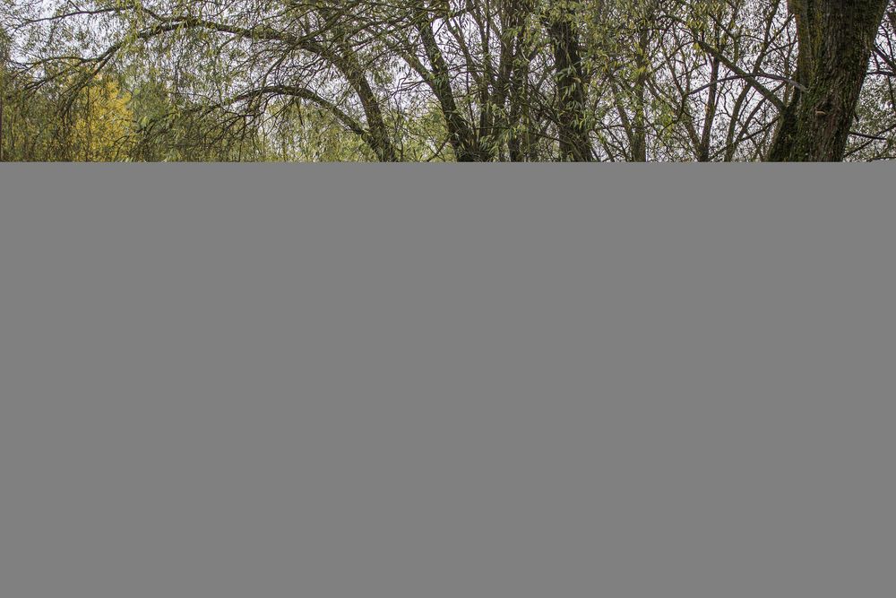 Photograph by Елена Беланенко