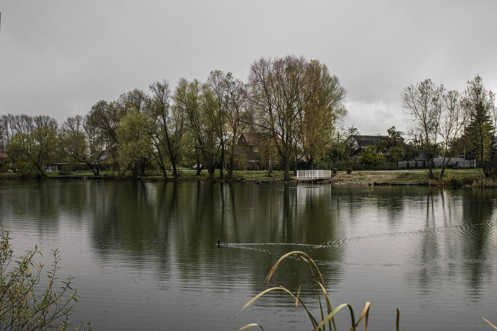 Photograph by Елена Беланенко