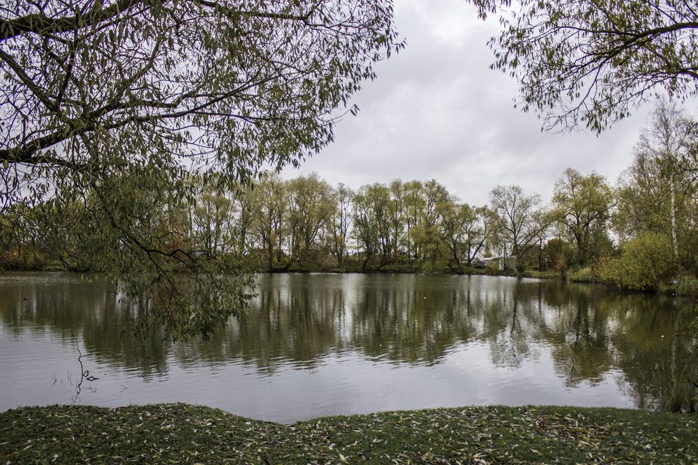 Photograph by Елена Беланенко