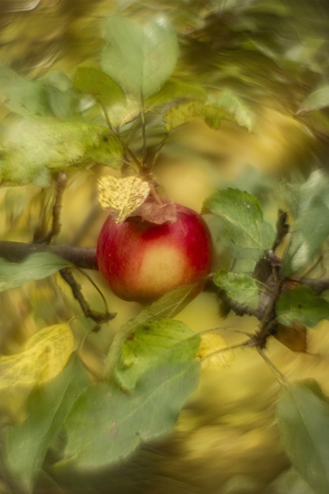 Photograph by Елена Беланенко