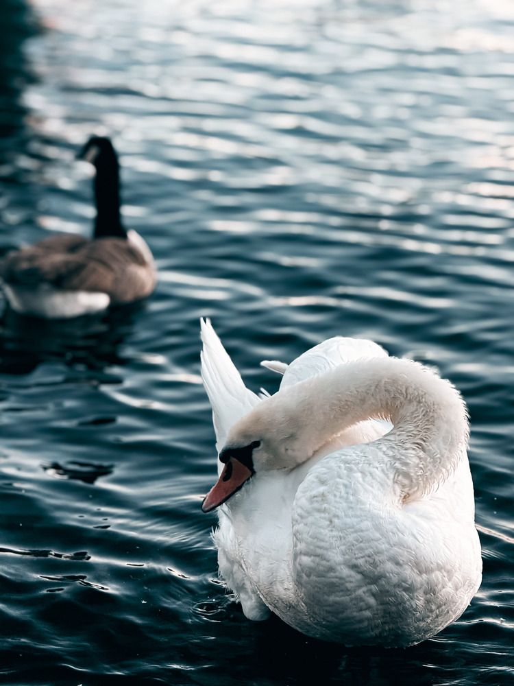 Photograph by Goutom Dey