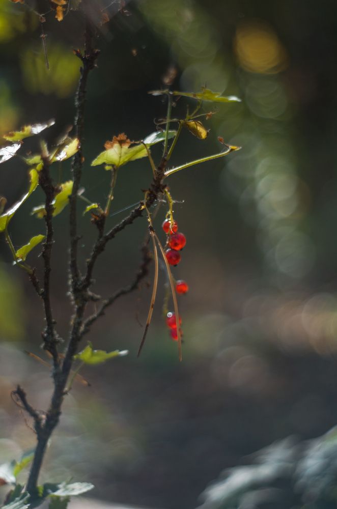 Photograph by Татьяна Бардак