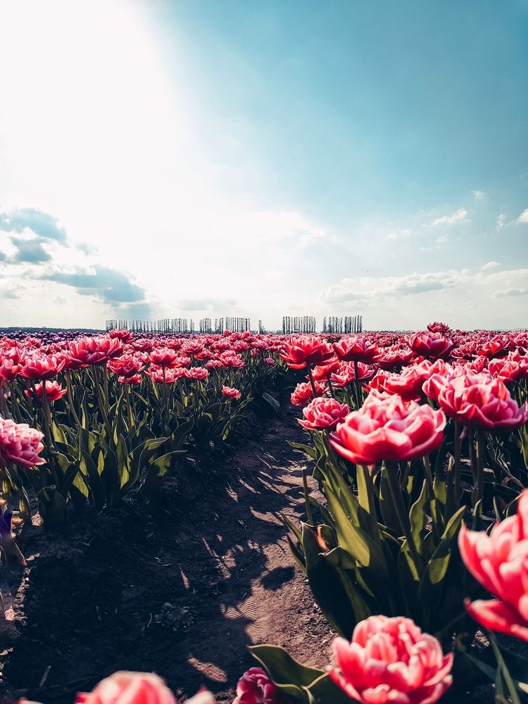 Photograph by Татьяна