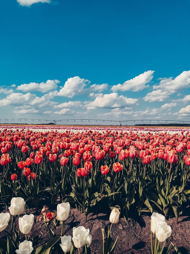 Photograph by Татьяна