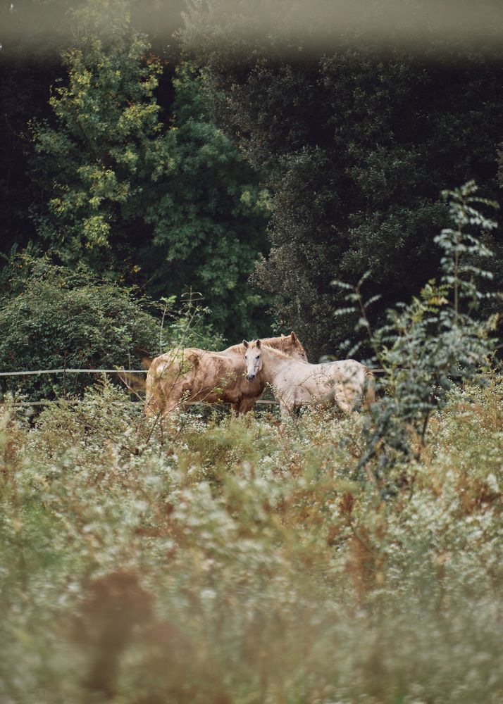 Фотография автора Владимир Эделев