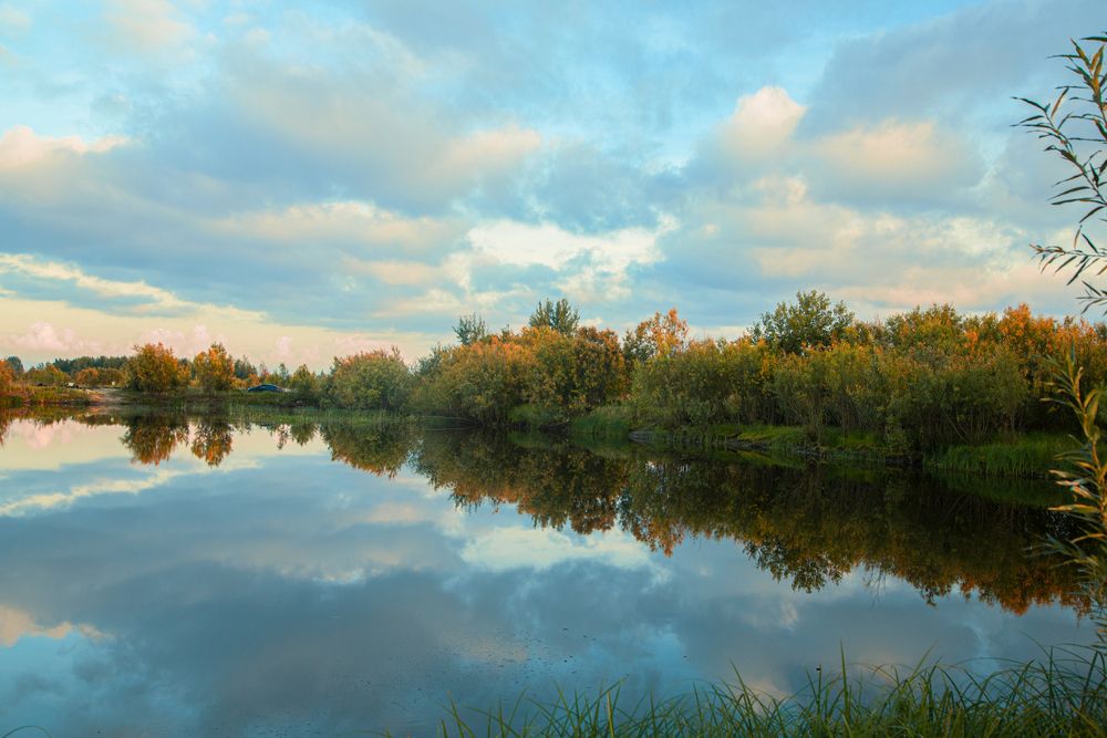 Фотография автора Елена Разина