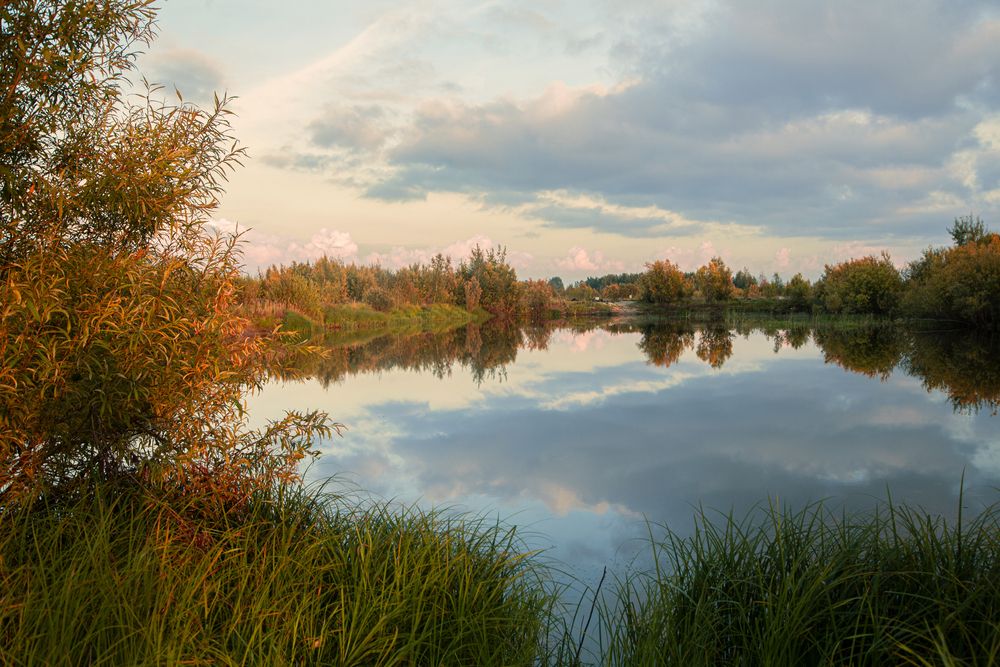 Фотография автора Елена Разина