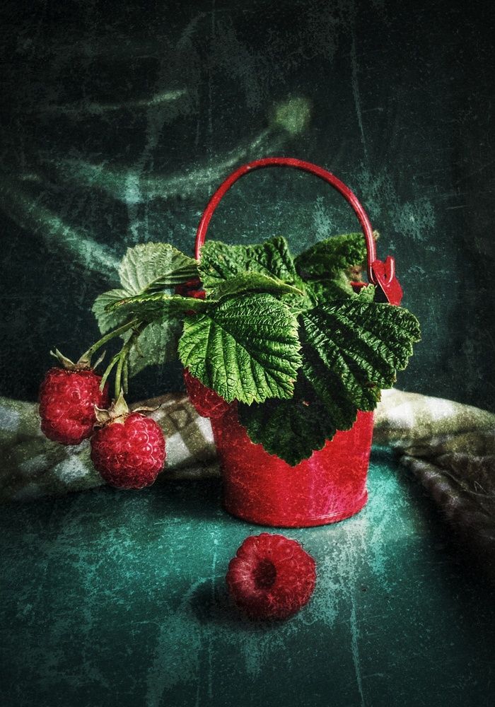 Photograph by Ольга Хромова