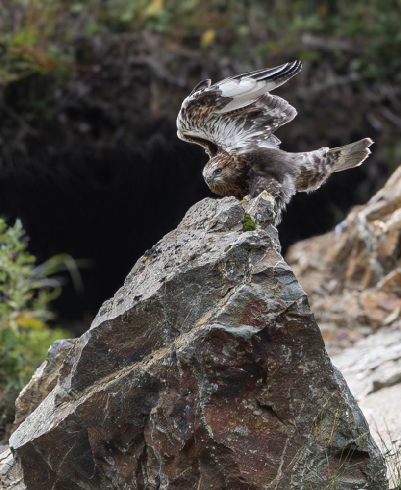 Photograph by Юлия Хобта