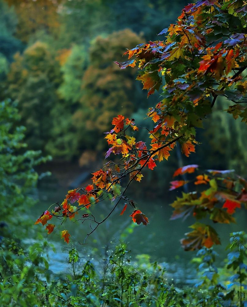 Photograph by Валерий Мыльников