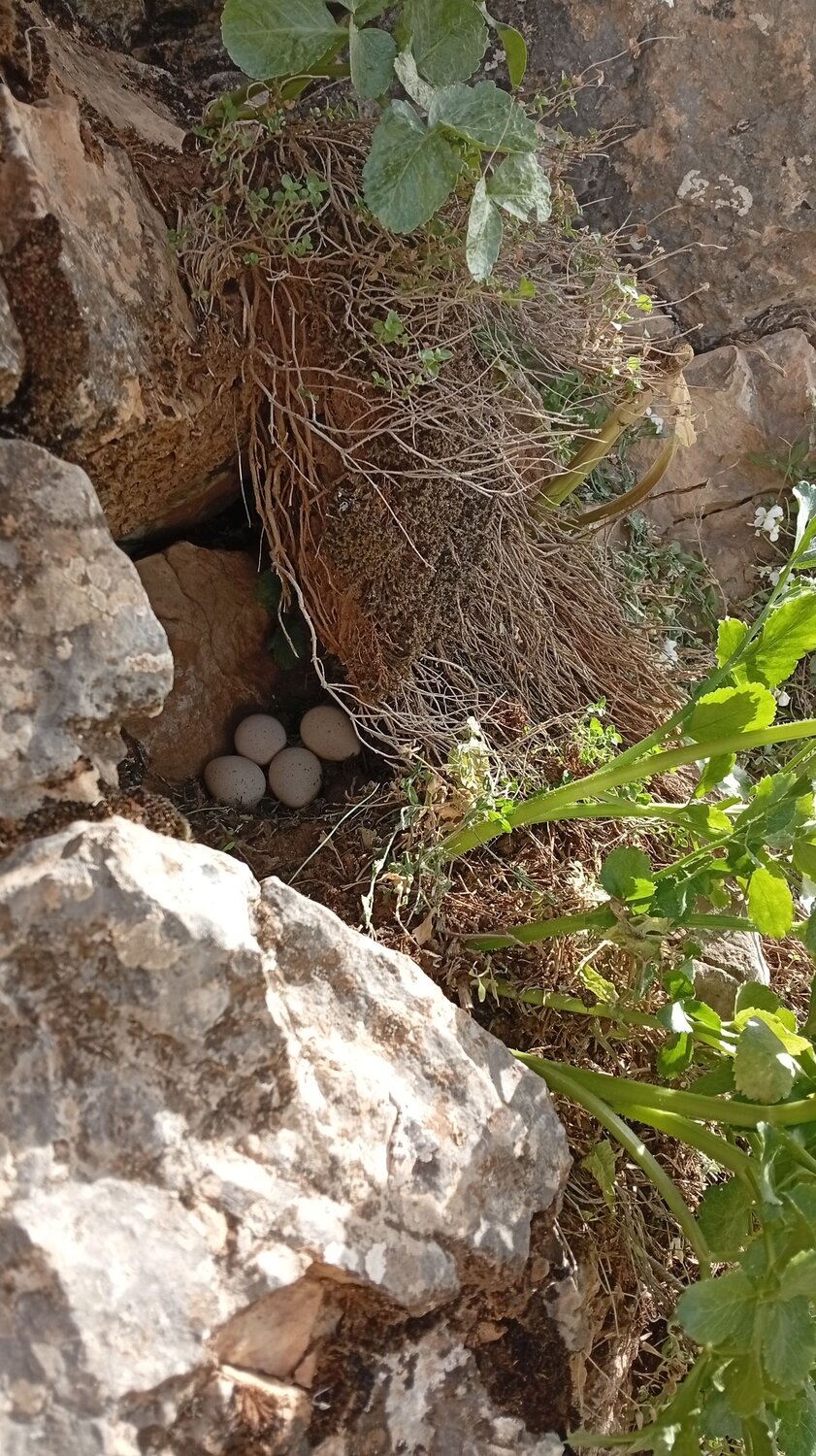 Photo #12757872