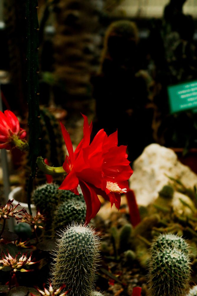 Photograph by Lina Slavinskaya