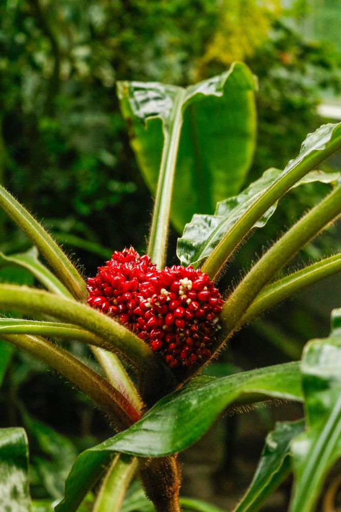 Photograph by Lina Slavinskaya