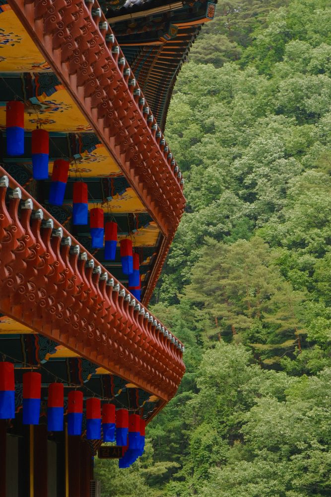 Фотография автора Gustavo Orellana