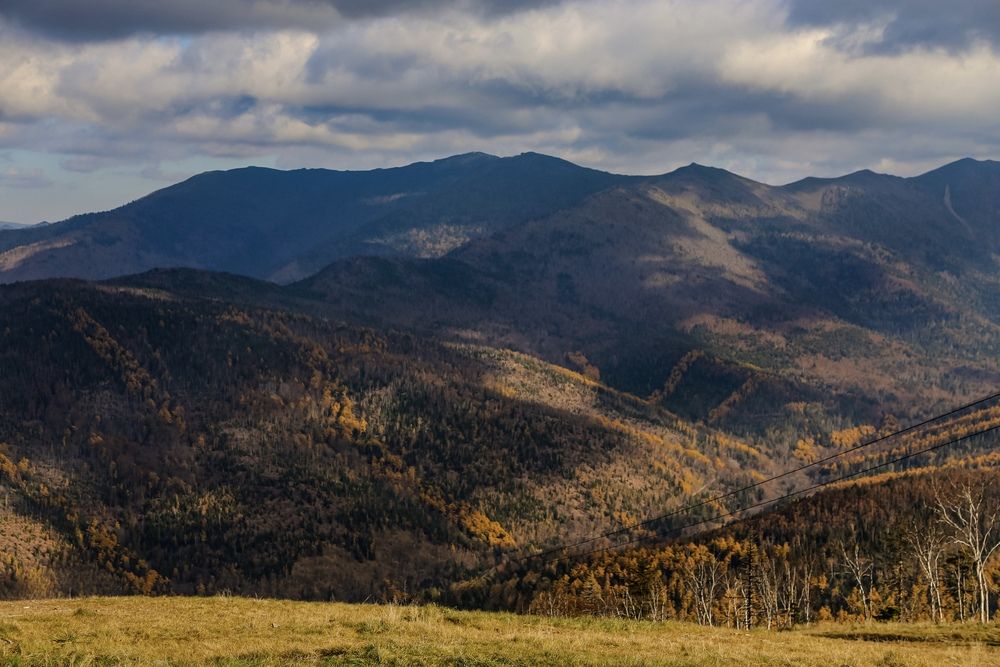 Фотография автора Елена Меньшикова
