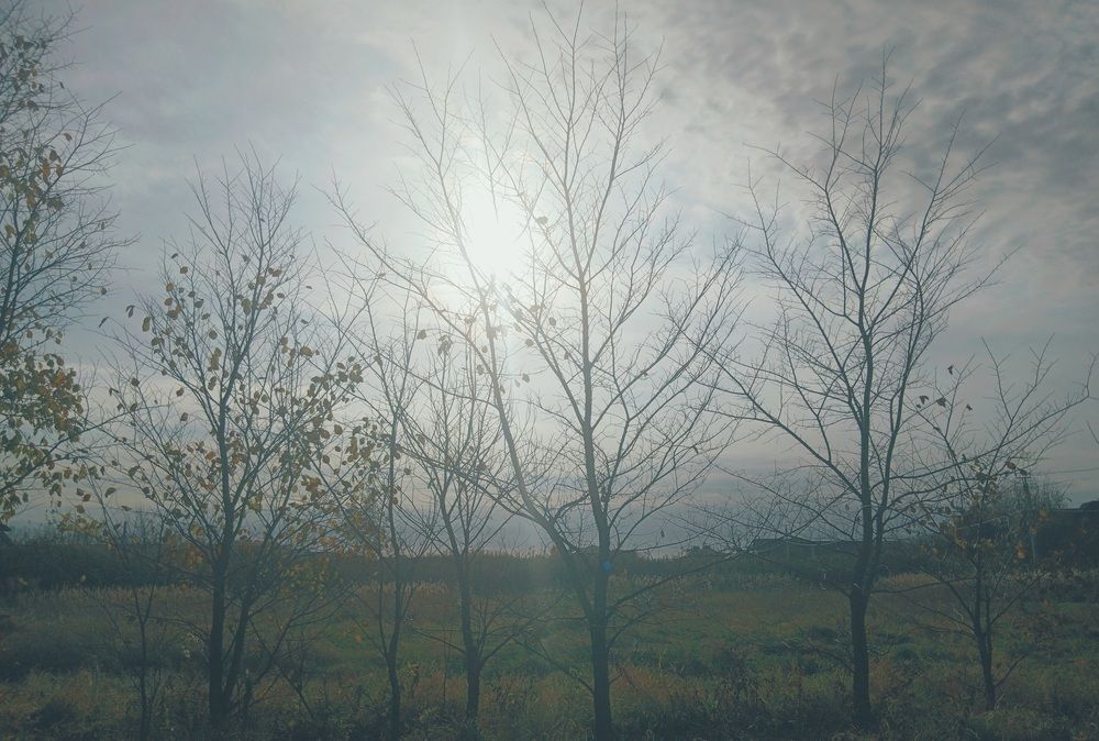 Photo #12758032