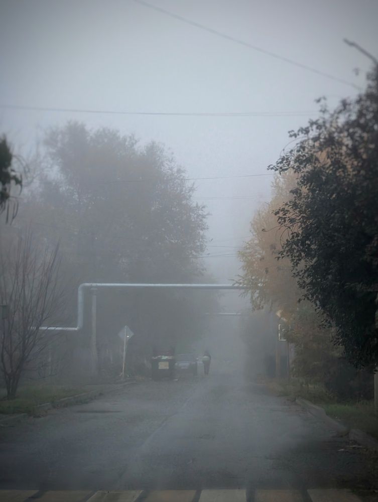 Photograph by AlexaL