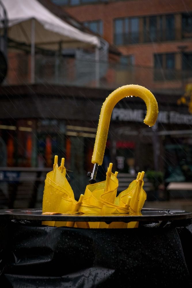 Photograph by Марущак Александр