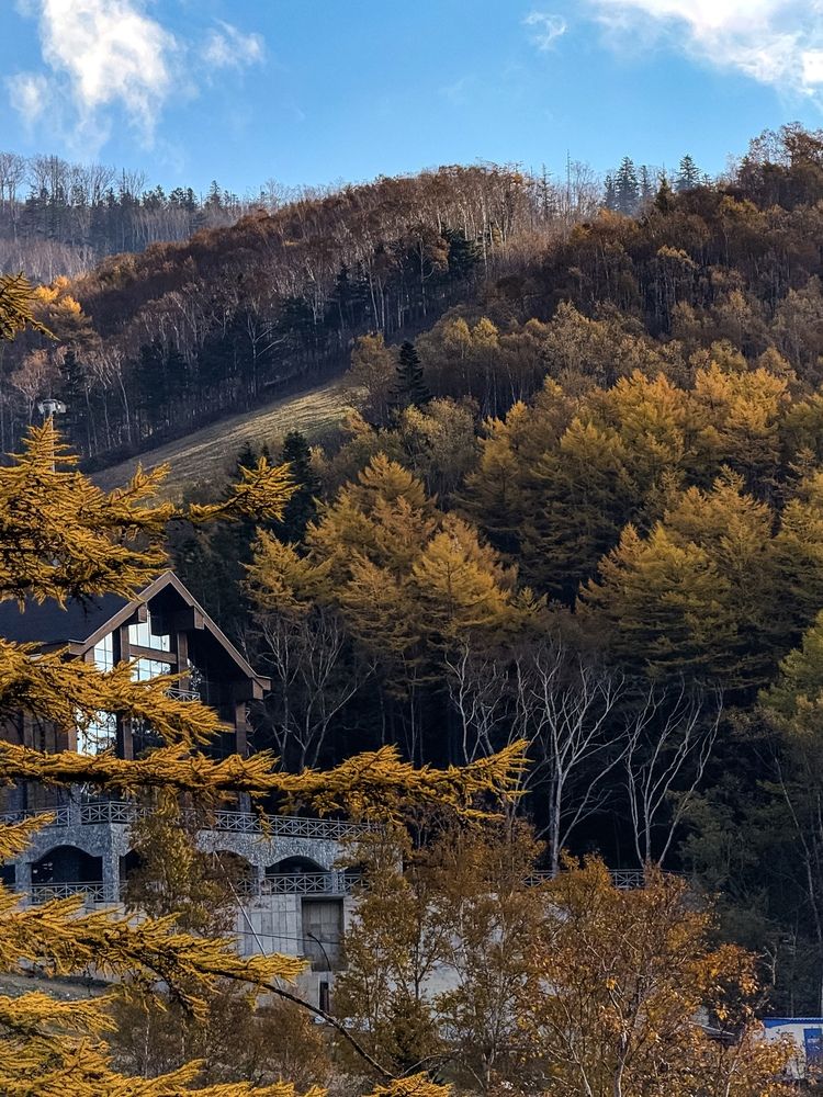 Фотография автора Елена Меньшикова