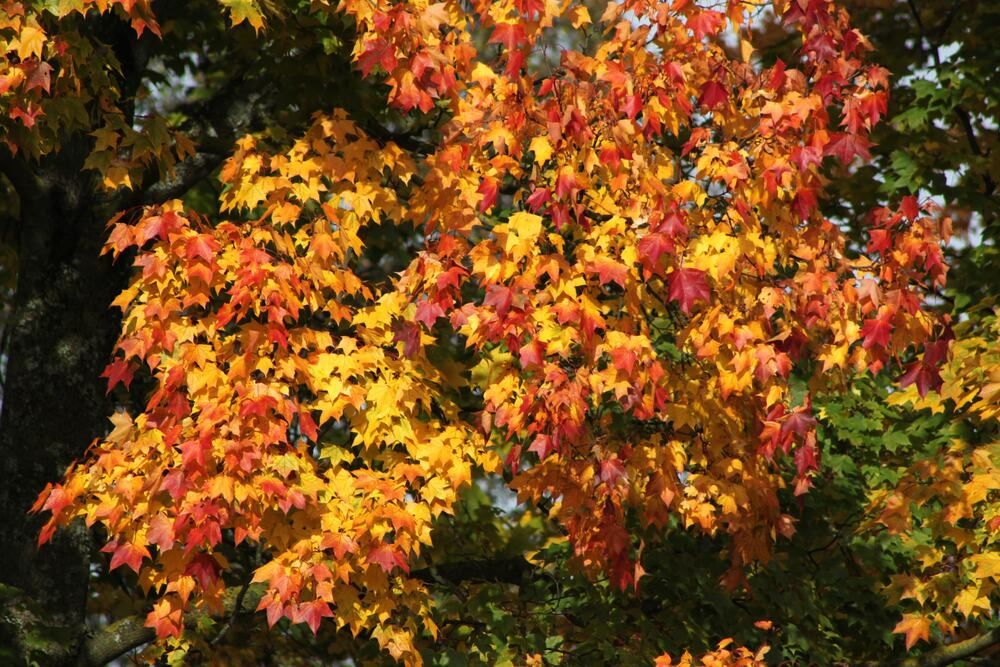 Photograph by Igors Rostikovs