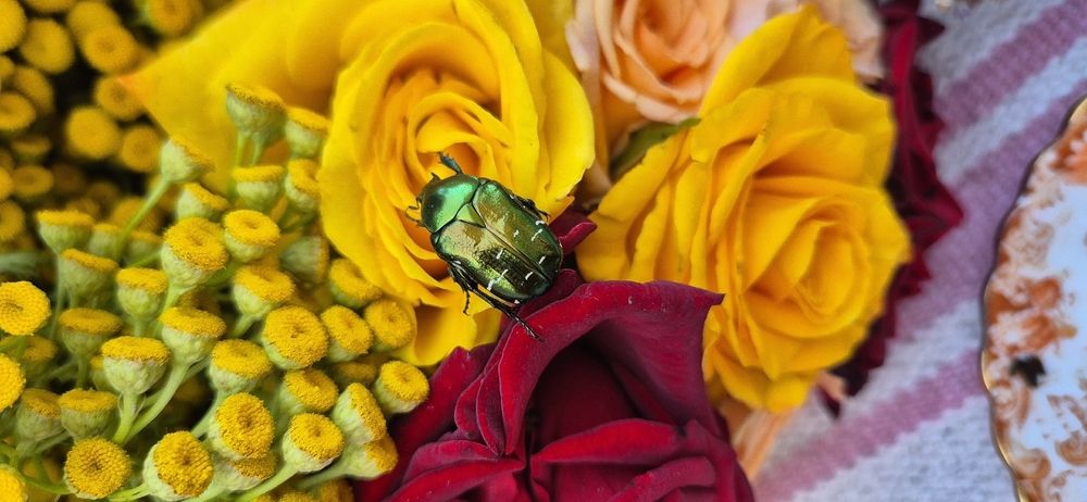 Фотография автора Ольга Мусина