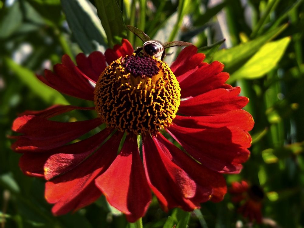 Фотография автора Ольга Кунакова