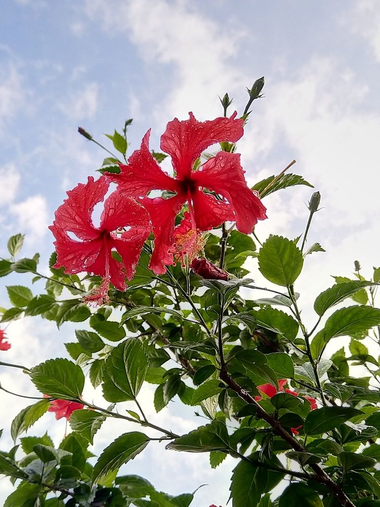 Photograph by sumit sitole