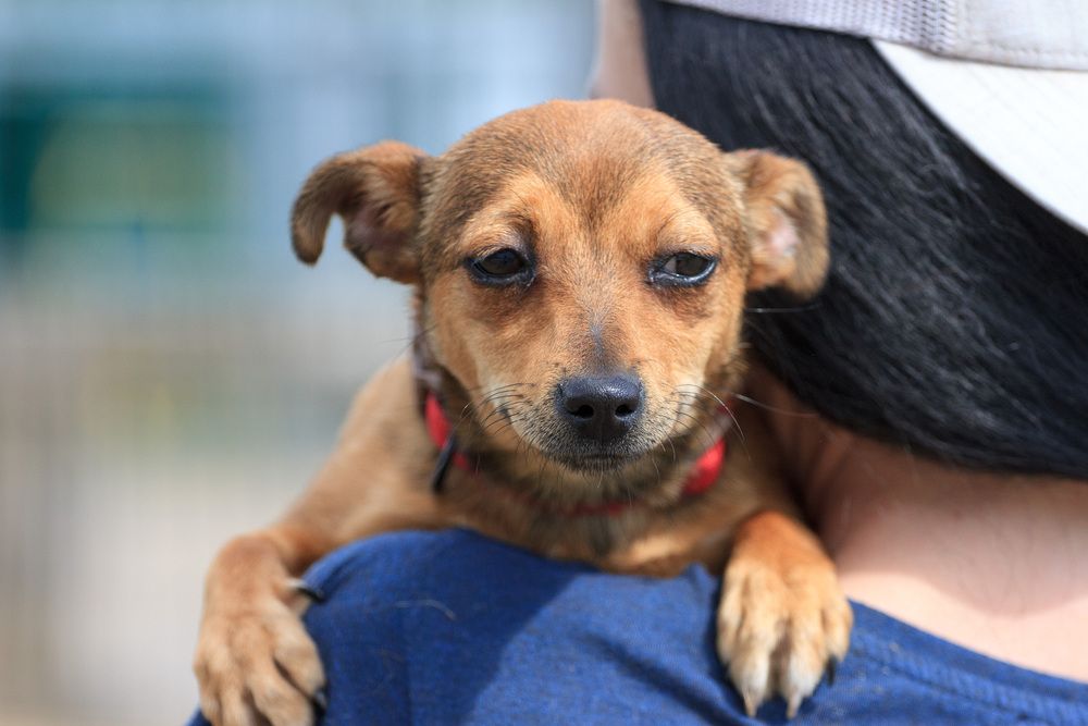 Photograph by Червяков Григорий