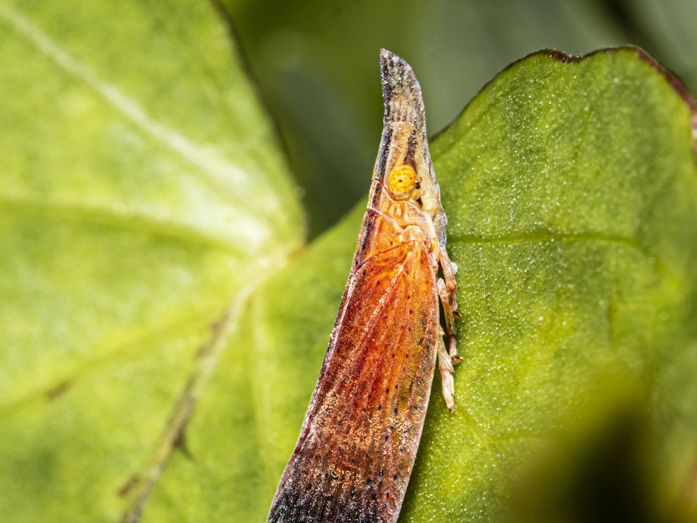 Photograph by Dhruv Chauhan