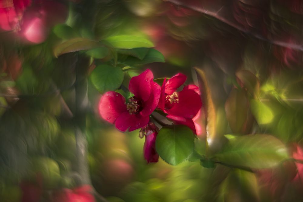 Photograph by Алексей Мякота