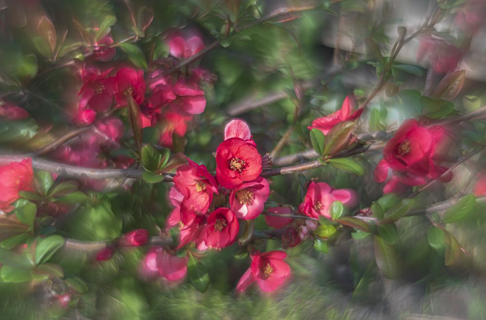 Photograph by Алексей Мякота