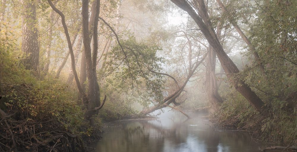 Photograph by Silyavin Nikita