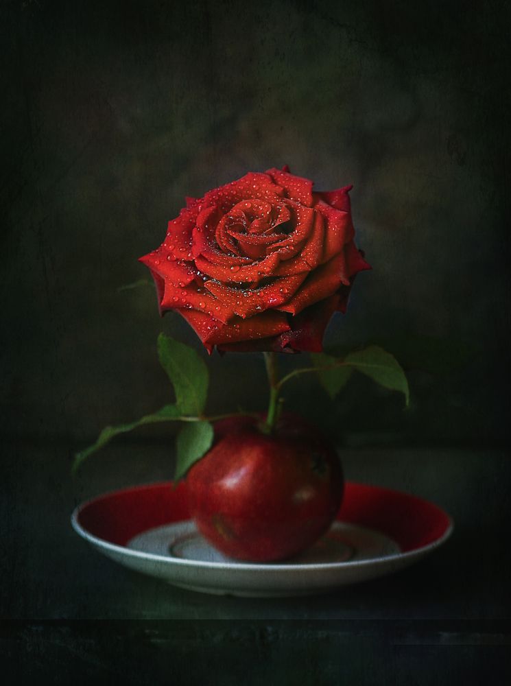 Фотография автора Svetlana Inyusheva