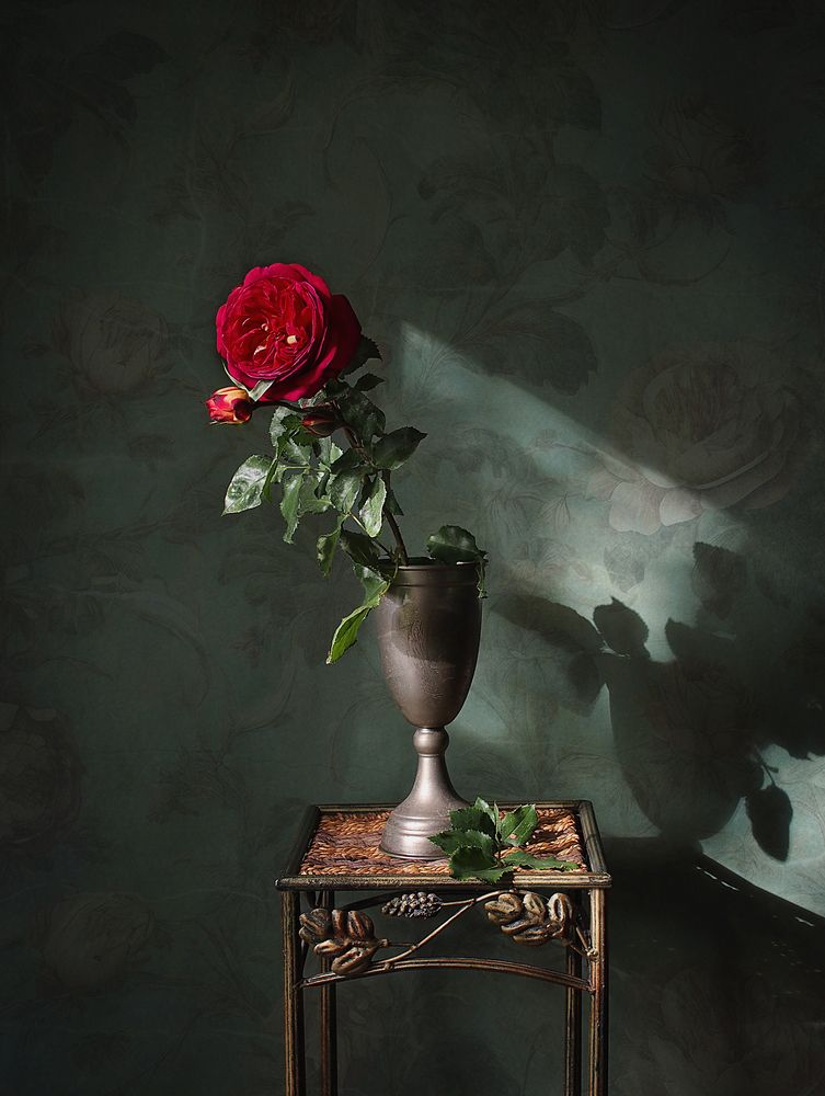 Фотография автора Svetlana Inyusheva