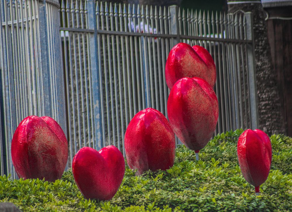 Photograph by Ernest Spiteri Gonzi