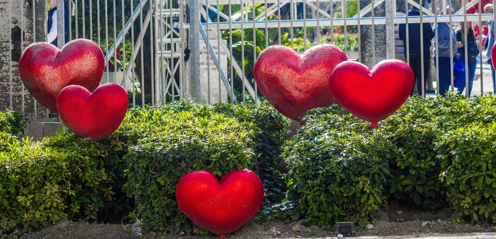 Photograph by Ernest Spiteri Gonzi