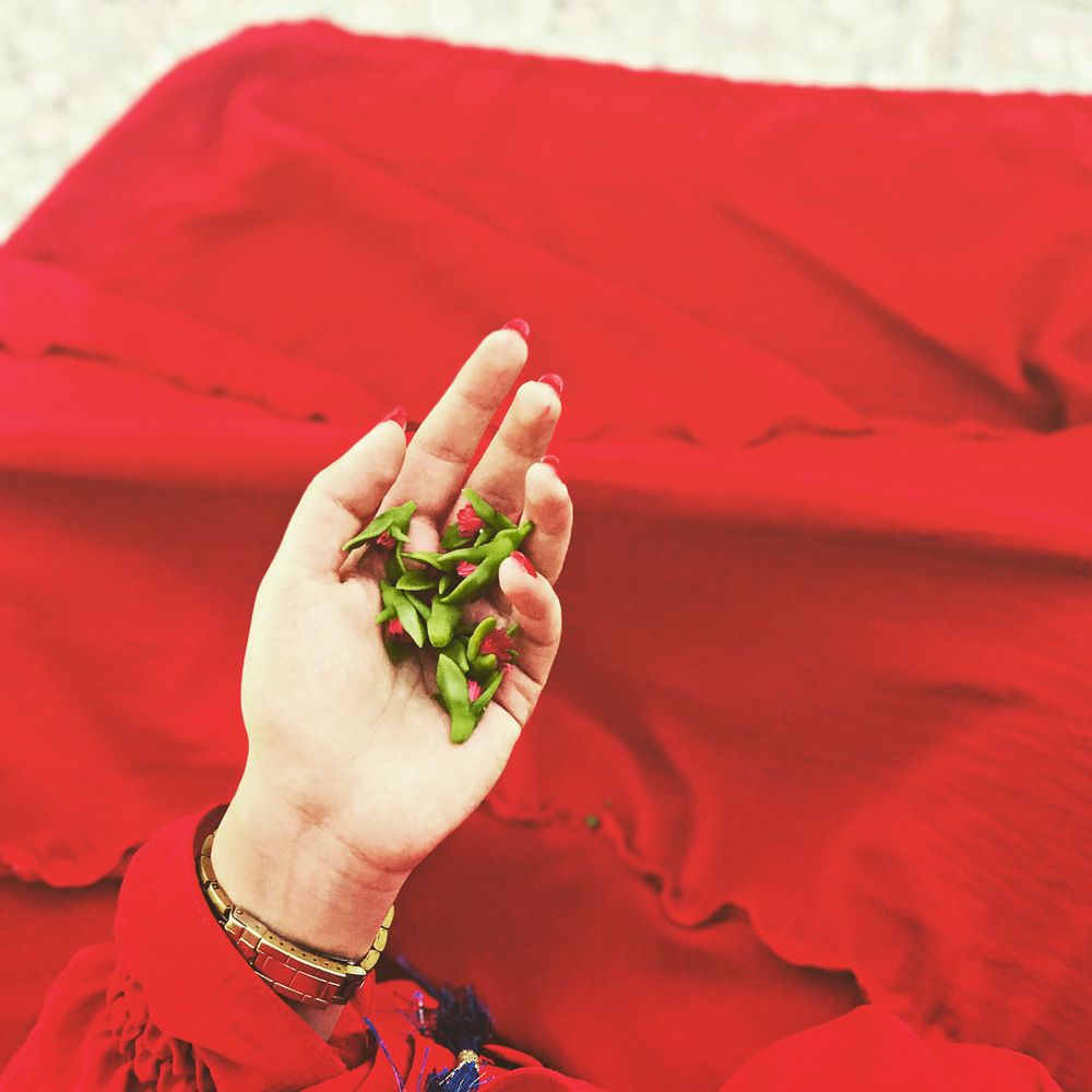 Photograph by Maedeh Sharifi