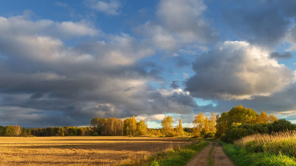 ДОРОГА В ОСЕНЬ