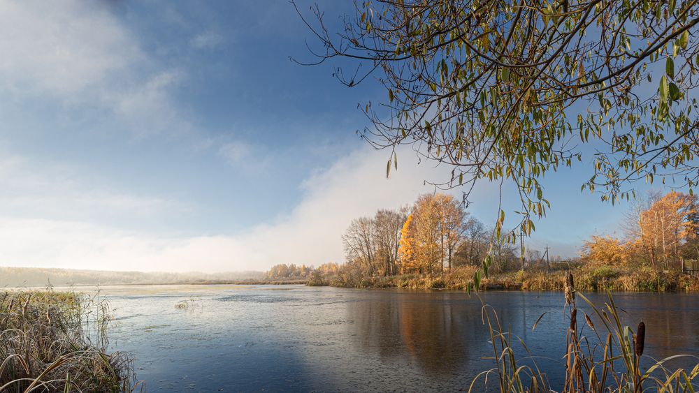 ОСЕНЬ, ОЗЕРО, ТУМАН.