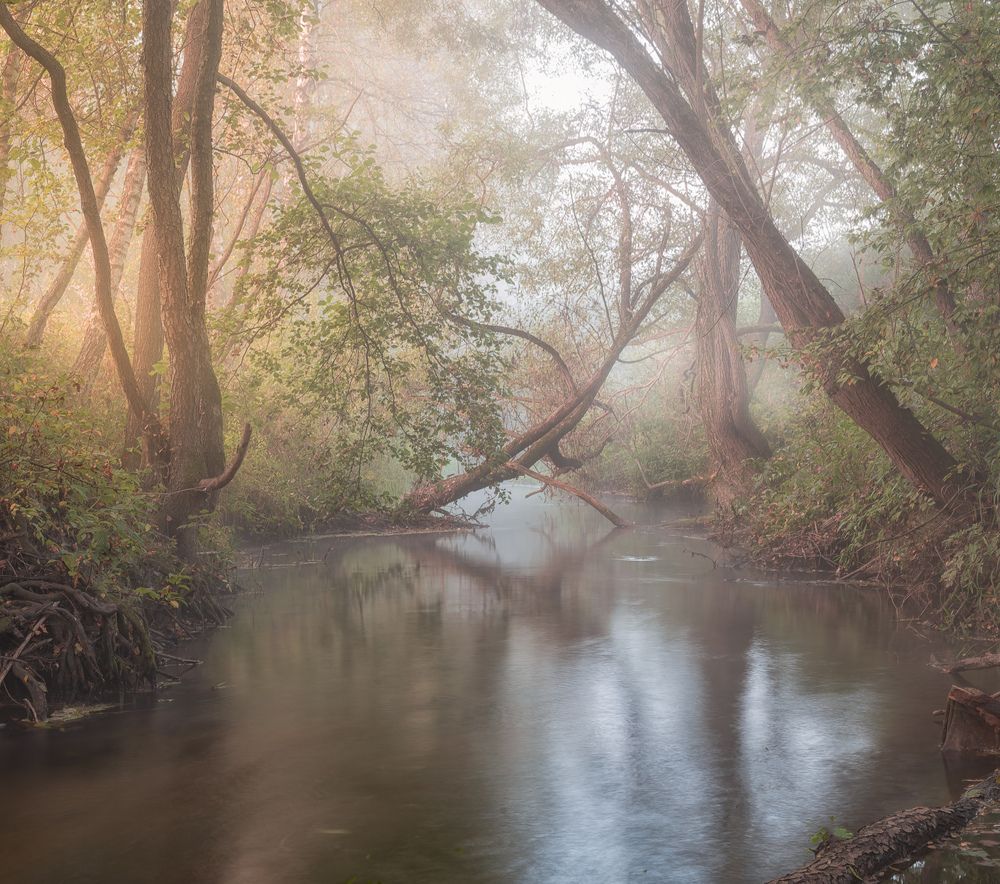 Photograph by Silyavin Nikita