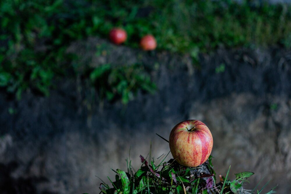 Photograph by NastЯ