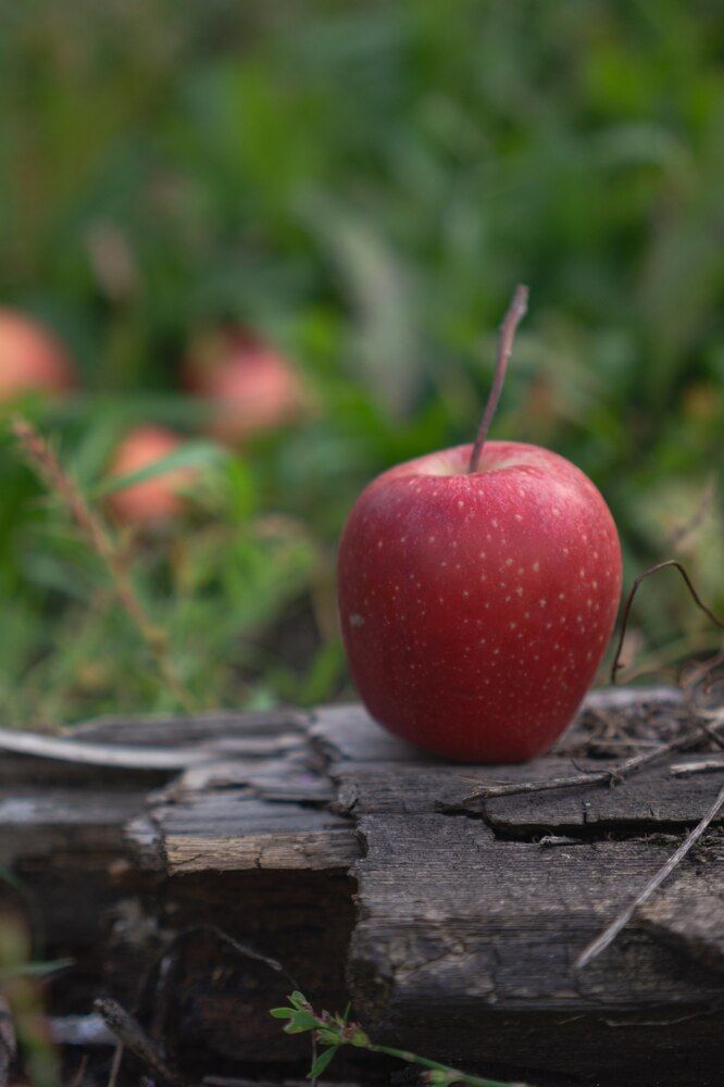 Photograph by NastЯ