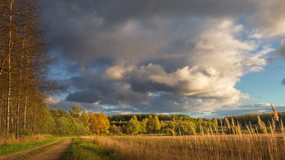 ОСЕНЬ НА ЗЕМЛЕ И НА НЕБЕ