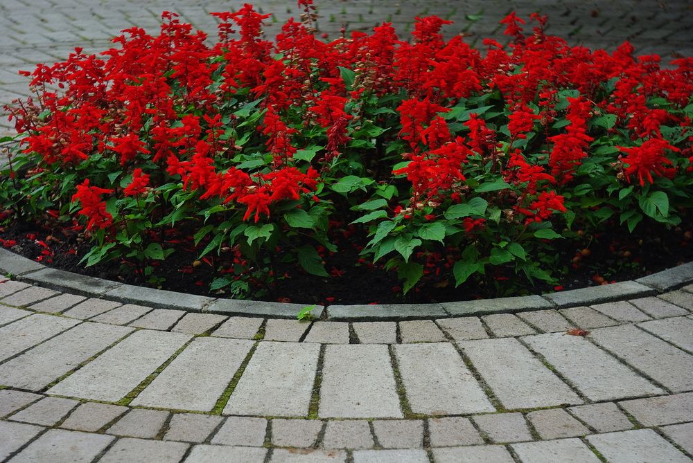 Photograph by Ясинский Константин