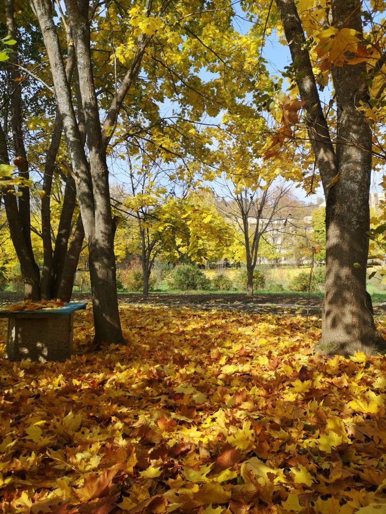 Фотография автора Сергей Варламов
