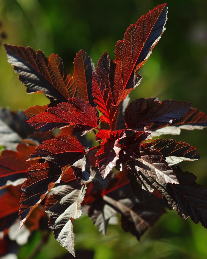 Photograph by Ясинский Константин